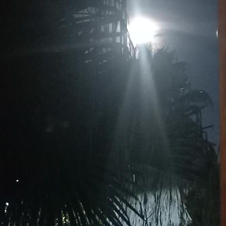 Ezeiza Bed And Breakfast エクステリア 写真